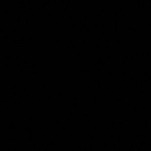 Meet your Posher, Kira